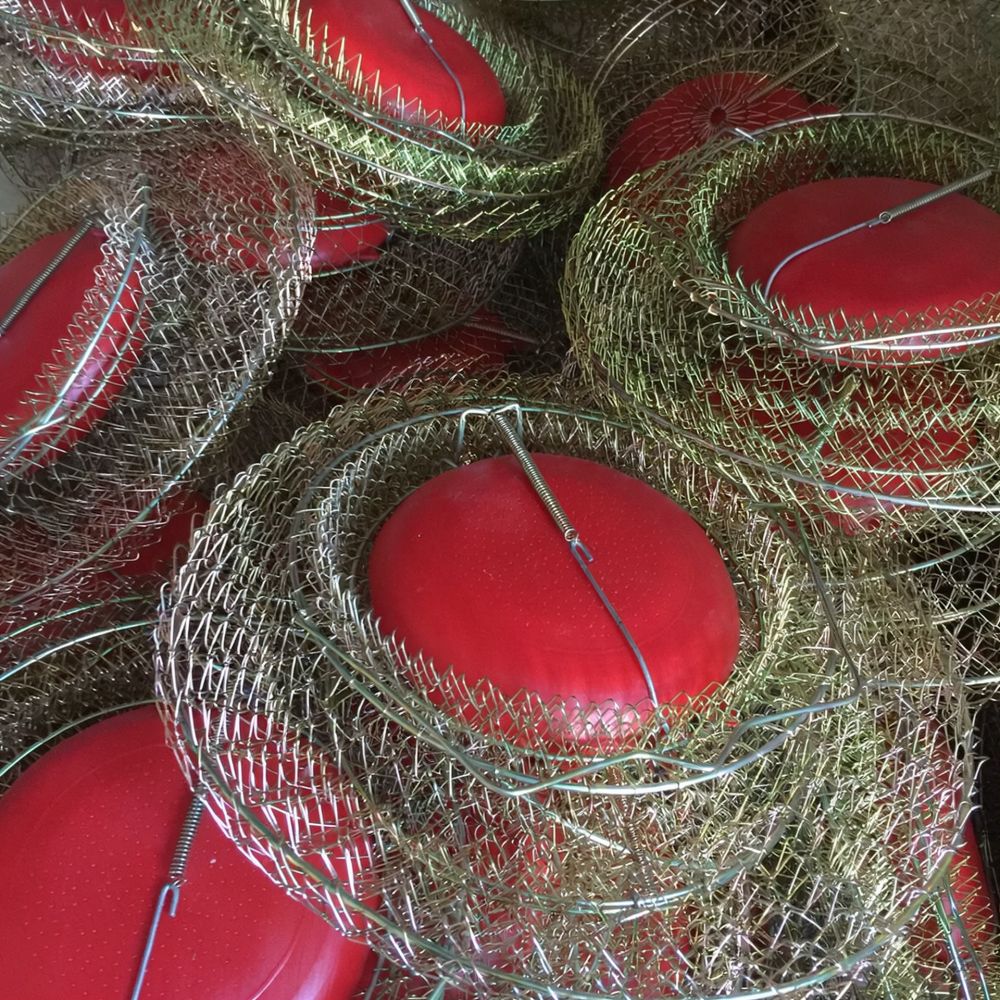Metalen vismand, opvouwbaar, m - Fishing Equipment Essentials recensie en prijs